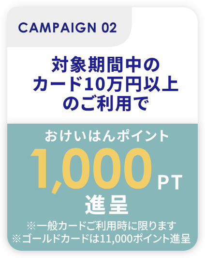 対象期間中のカード10万円以上のご利用で最大1,000ポンントプレゼント※ゴールドカードご利用時に限ります